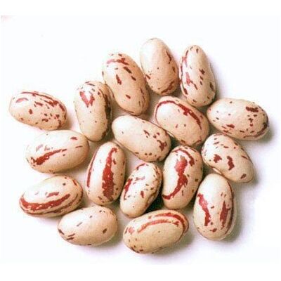 Jalpur Rosecoco Beans/Crab Eye Beans 1.5kg Jalpur Rosecoco Beans/Crab Eye Beans 1.5kg