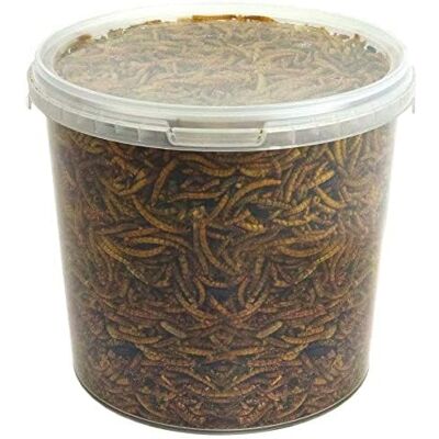GardenersDream - Dried Mealworms - 2.5L - Bird Food GardenersDream - Dried Mealworms - 2.5L - Bird Food