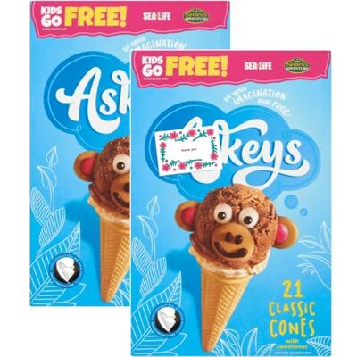 NORTHERNSCAPE Ice Cream Cones Bundle With Askeys Ice Cream Cones 21 x 2 Pack + Card NORTHERNSCAPE Ice Cream Cones Bundle With Askeys Ice Cream Cones 21 x 2 Pack + Card