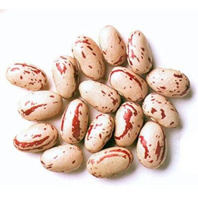 Jalpur MILLERS Premium Rosecoco Beans (Crab Eye Beans) 1kg – Nutritious, High-Protein, Ideal for Soups, Stews, Salads & Curries – Non-GMO, Rich in Fibre and Essential Nutrients, Versatile Ingredient Jalpur MILLERS Premium Rosecoco Beans (Crab Eye Beans) 1kg – Nutritious, High-Protein, Ideal for Soups, Stews, Salads & Curries – Non-GMO, Rich in Fibre and Essential Nutrients, Versatile Ingredient