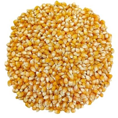 Sephra Alicampo Butterfly Popcorn Kernels 20kg – Bulk Non-GMO Popcorn Sephra Alicampo Butterfly Popcorn Kernels 20kg – Bulk Non-GMO Popcorn