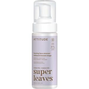 Attitude Natural Foaming Face Cleanser - Face Cleanser Attitude Natural Foaming Face Cleanser - Face Cleanser