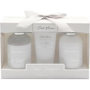 L & P Home & Gifts Lesser & Pavey Desire Aroma Christmas Sanguine Pamper Set For Women & Men Luxury Bath Bombs, Shower Creams & Bubble Bath Travel Wash Kit and Cruelty-Free Hydrating Gift For All L & P Home & Gifts Lesser & Pavey Desire Aroma Christmas Sanguine Pamper Set For Women & Men Luxury Bath Bombs, Shower Creams & Bubble Bath Travel Wash Kit and Cruelty-Free Hydrating Gift For All