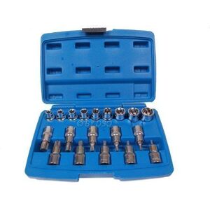 Bergen 19PC 1/2" Dr. Torx Bit & E Socket Set BER1146 Bergen 19PC 1/2" Dr. Torx Bit & E Socket Set BER1146