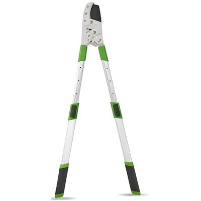 HOMION Heavy Duty Anvil Ratchet Lopper for Tree, extendable 72-104cm Handle Sk5 high Carbon Steel Blade, Telescopic Steel Tree Branch Cutter, Professional Double Ratcheting Gear Long Reach 6 Positions Stops HOMION Heavy Duty Anvil Ratchet Lopper for Tree, extendable 72-104cm Handle Sk5 high Carbon Steel Blade, Telescopic Steel Tree Branch Cutter, Professional Double Ratcheting Gear Long Reach 6 Positions Stops