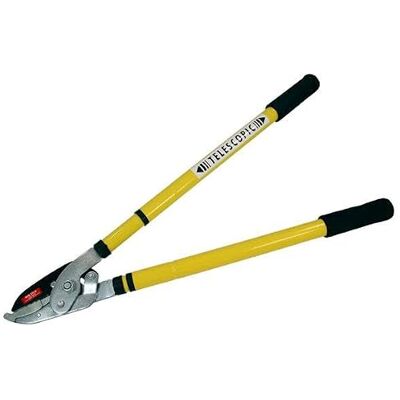 Neilsen CT3461 Ratchet Telescopic Tree Lopper Extendable Branch Cutter, High Carbon Steel Blades, Comfortable Soft Grip, Cuts Branches with Ease Neilsen CT3461 Ratchet Telescopic Tree Lopper Extendable Branch Cutter, High Carbon Steel Blades, Comfortable Soft Grip, Cuts Branches with Ease