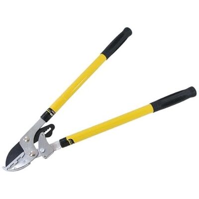 Neilsen CT3462 Telescopic Ratchet Tree Lopper Extendable Branch Cutter, High Carbon Steel Blades, Comfortable Soft Grip, Cuts Branches Up to 35mm Thick Neilsen CT3462 Telescopic Ratchet Tree Lopper Extendable Branch Cutter, High Carbon Steel Blades, Comfortable Soft Grip, Cuts Branches Up to 35mm Thick