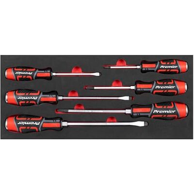 Sealey Premier Hammer-Thru Screwdriver Set with Tool Tray 6pc TBT54 Sealey Premier Hammer-Thru Screwdriver Set with Tool Tray 6pc TBT54
