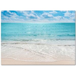 Gsypo Summer Indoor Modern Contemporary Area Rug, Tropical Ocean Beach Sea Water Ultra Soft Non-Shedding Carpet Floor Mats Stain Resistant Living Room Bedroom Area Rugs Washable 2'x3' Gsypo Summer Indoor Modern Contemporary Area Rug, Tropical Ocean Beach Sea Water Ultra Soft Non-Shedding Carpet Floor Mats Stain Resistant Living Room Bedroom Area Rugs Washable 2'x3'