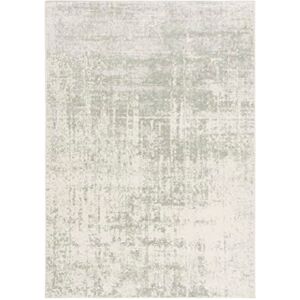 Safavieh Contemporary Rug for Living Room, Dining Room, Bedroom, Adirondack Collection, Short Pile, in Beige and Sage, 120 x 180 cm Safavieh Contemporary Rug for Living Room, Dining Room, Bedroom, Adirondack Collection, Short Pile, in Beige and Sage, 120 x 180 cm