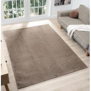 Rugs by Desire Comfy Washable Modern Living Room Rug Polyester Plain Indoor Area Rug with Low Pile Anti-Slip Felt Backing SuperSoft Carpet Bedroom-Hallway, Dark Beige, 60x100 cm Rugs by Desire Comfy Washable Modern Living Room Rug Polyester Plain Indoor Area Rug with Low Pile Anti-Slip Felt Backing SuperSoft Carpet Bedroom-Hallway, Dark Beige, 60x100 cm