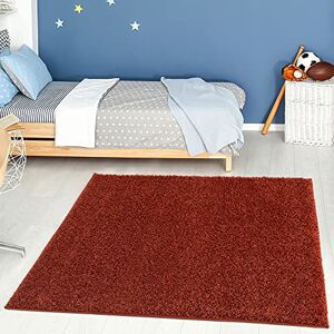 THE RUGS Living Room Rug Shaggy Soft And Elegant Carpets For The Bedrooms And Kitchen, Easy To Clean, Many Different Sizes (120x120 cm, Terra) THE RUGS Living Room Rug Shaggy Soft And Elegant Carpets For The Bedrooms And Kitchen, Easy To Clean, Many Different Sizes (120x120 cm, Terra)