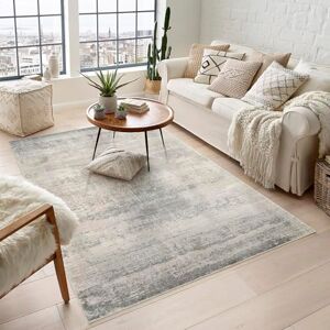 Rugs by Desire Maia Washable Living Room Area Rug – Soft Polypropylene Weaving, Low Pile, Non Slip Cotton Backing for Elegant Indoor Spaces, Grey, 200 x 300 cm (Rectangular) Rugs by Desire Maia Washable Living Room Area Rug – Soft Polypropylene Weaving, Low Pile, Non Slip Cotton Backing for Elegant Indoor Spaces, Grey, 200 x 300 cm (Rectangular)
