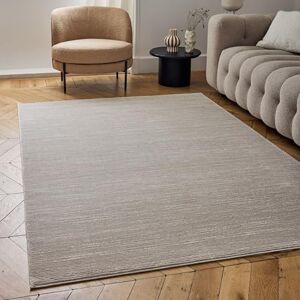 THE RUGS Carmel Modern Area Rug - Beige, 80x150cm - Durable & Stain-Resistant THE RUGS Carmel Modern Area Rug - Beige, 80x150cm - Durable & Stain-Resistant