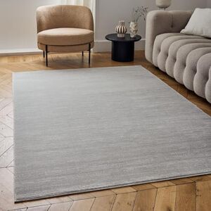 THE RUGS Carmel Modern Area Rug - Grey - 200x290 cm - Rug THE RUGS Carmel Modern Area Rug - Grey - 200x290 cm - Rug