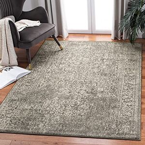Safavieh Transitional Rug for Living Room, Dining Room, Bedroom Evoke Collection, Short Pile, in Silver and Ivory, 122 X 183 cm Safavieh Transitional Rug for Living Room, Dining Room, Bedroom Evoke Collection, Short Pile, in Silver and Ivory, 122 X 183 cm