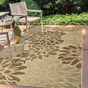 JONATHAN Y SMB110A-8 Zinnia Modern Floral Textured Weave Indoor Outdoor Area Rug, Bohemian, Coastal, Mediterranean Easy Cleaning, Non Shed, Sage/Brown, 240 cm X 300 cm JONATHAN Y SMB110A-8 Zinnia Modern Floral Textured Weave Indoor Outdoor Area Rug, Bohemian, Coastal, Mediterranean Easy Cleaning, Non Shed, Sage/Brown, 240 cm X 300 cm