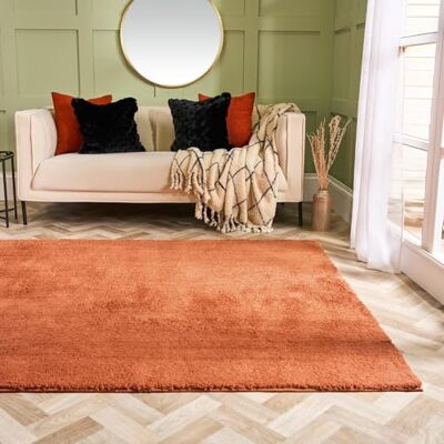 OHS Area Rugs for Living Room, Rugs for Bedroom Home Decorative Non Slip Modern Super Soft Cosy Teddy Thick Pile Small Non Shedding Shaggy Rug Floor Carpet, Rust 80 x 150cm OHS Area Rugs for Living Room, Rugs for Bedroom Home Decorative Non Slip Modern Super Soft Cosy Teddy Thick Pile Small Non Shedding Shaggy Rug Floor Carpet, Rust 80 x 150cm