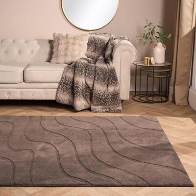 OHS Contour Tufted Rugs Living Room 120 x 170, Soft Fluffy Rugs for Bedroom Home Decorations Modern Non Slip Bedroom Rug Medium Non Shedding Hallway Runner Low Pile Carpet, Coffee OHS Contour Tufted Rugs Living Room 120 x 170, Soft Fluffy Rugs for Bedroom Home Decorations Modern Non Slip Bedroom Rug Medium Non Shedding Hallway Runner Low Pile Carpet, Coffee