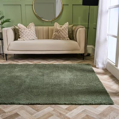 OHS Rugs Living Room, Green Area Rugs for Bedroom Home Decorative Non Slip Modern Super Soft Cosy Teddy Thick Pile Small Floor Carpet Non Shedding Shaggy Rug, 80 x 150cm OHS Rugs Living Room, Green Area Rugs for Bedroom Home Decorative Non Slip Modern Super Soft Cosy Teddy Thick Pile Small Floor Carpet Non Shedding Shaggy Rug, 80 x 150cm