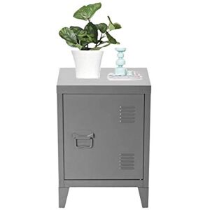 HOMYLIN FurnitureR 1-Door Small Metal Cabinet, 2 tier Shelves Cupboard with Detachable Legs, Organizer Cabinet Side Storage Nightstand for Home Office Study Bedroom Living Room, Dark Grey, 57.5x40.5x30.5 cm HOMYLIN FurnitureR 1-Door Small Metal Cabinet, 2 tier Shelves Cupboard with Detachable Legs, Organizer Cabinet Side Storage Nightstand for Home Office Study Bedroom Living Room, Dark Grey, 57.5x40.5x30.5 cm