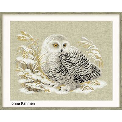 Riolis Cross Stitch Kit 1241 White Owl Riolis Cross Stitch Kit 1241 White Owl
