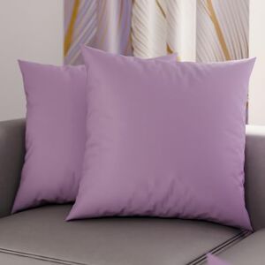 PETTI Artigiani Italiani Pair of Microfiber Pillowcases 65x65 cm, Bedroom Furniture Cushions, Sofa, Set of 2 Cushion Covers, Plain Lilac Pillowcase, 100% Made in Italy PETTI Artigiani Italiani Pair of Microfiber Pillowcases 65x65 cm, Bedroom Furniture Cushions, Sofa, Set of 2 Cushion Covers, Plain Lilac Pillowcase, 100% Made in Italy