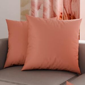 PETTI Artigiani Italiani Pair of Pillowcases 60x60 cm in Microfiber, Bedroom Cushions, Sofa, Set of 2 Cushion Covers, Solid Color Pink Pillowcase, 100% Made in Italy PETTI Artigiani Italiani Pair of Pillowcases 60x60 cm in Microfiber, Bedroom Cushions, Sofa, Set of 2 Cushion Covers, Solid Color Pink Pillowcase, 100% Made in Italy