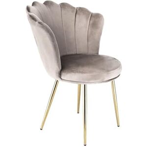 RayGar Genesis Mini Flora Accent Chair with Petal Back Armchair With Golden Chrome Finish Metal Tube Legs (Taupe) RayGar Genesis Mini Flora Accent Chair with Petal Back Armchair With Golden Chrome Finish Metal Tube Legs (Taupe)
