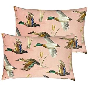 furn. Evans Lichfield Country Duck Pond Rectangular Polyester Filled Cushion Twin Pack, Blush, 40 x 60cm furn. Evans Lichfield Country Duck Pond Rectangular Polyester Filled Cushion Twin Pack, Blush, 40 x 60cm