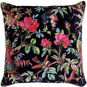 Paoletti Paradise Square Cushion Cover Black Colourful Bird Print Velvet Feel Cotton Fabric (50 x 50 cm, Pack of 1) Paoletti Paradise Square Cushion Cover Black Colourful Bird Print Velvet Feel Cotton Fabric (50 x 50 cm, Pack of 1)