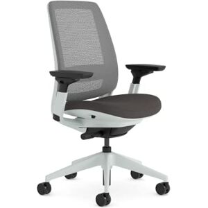 Steelcase Series 2 Ergonomic Office Chair With LiveBack Lumbar Support And 4D Armests Nickel/Anthracite; Made in Europe Steelcase Series 2 Ergonomic Office Chair With LiveBack Lumbar Support And 4D Armests Nickel/Anthracite; Made in Europe