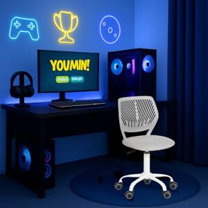 FurnitureR Ergonomic Computer Gaming Chair Home Entertainment Video and Computer Game,E-Sports Leisure Time Play for Teen Boy Girl,Height Adjustable with Lumbar Support,360 Swivel Caster,MO grey FurnitureR Ergonomic Computer Gaming Chair Home Entertainment Video and Computer Game,E-Sports Leisure Time Play for Teen Boy Girl,Height Adjustable with Lumbar Support,360 Swivel Caster,MO grey