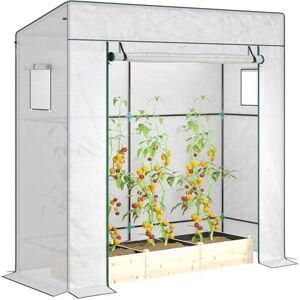 Outsunny Tomato Greenhouse with Reinforced PE Cover, Walk-in Garden Growhouse with Large Roll-up Door and 2 Mesh Windows, Portable Indoor Outdoor Green House, 196L x 77W x 178Hcm, White Outsunny Tomato Greenhouse with Reinforced PE Cover, Walk-in Garden Growhouse with Large Roll-up Door and 2 Mesh Windows, Portable Indoor Outdoor Green House, 196L x 77W x 178Hcm, White