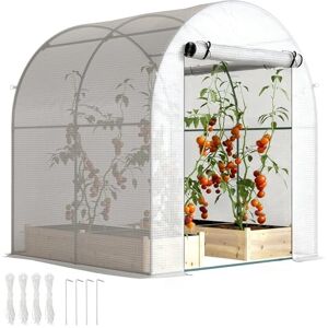 Outsunny Walk in Polytunnel Greenhouse, Tomato Greenhouse with Roll-up Window and Door, PE Cover, Steel Frame for Garden, 1.8 x 1.8 x 2 m, White Outsunny Walk in Polytunnel Greenhouse, Tomato Greenhouse with Roll-up Window and Door, PE Cover, Steel Frame for Garden, 1.8 x 1.8 x 2 m, White