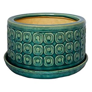 Ivyline Round Bonsai Planter in Teal Waterproof & Durable Contemporary Premium Glazed Decorative Indoor Ceramic Flower Pot H38.5cm x D20cm Ivyline Round Bonsai Planter in Teal Waterproof & Durable Contemporary Premium Glazed Decorative Indoor Ceramic Flower Pot H38.5cm x D20cm