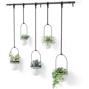 Umbra Hanging Planter, for Succulents, Herbs and Other Small Plants, Polypropylene Metal, Weiss, 5 Pots Umbra Hanging Planter, for Succulents, Herbs and Other Small Plants, Polypropylene Metal, Weiss, 5 Pots