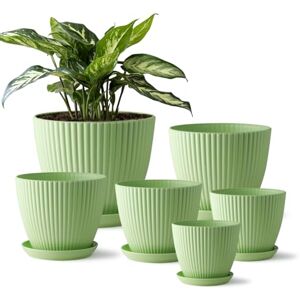 RooTrimmer 7.5/6.5/5.5/4.9/4.2/3.5 inches Flower Pots 6 Pack, Thick Sturdy Plastic Planters, Indoor/Outdoor 6 Sizes Plant Pots with Drainage Holes and Saucers (6 Sizes, Green) RooTrimmer 7.5/6.5/5.5/4.9/4.2/3.5 inches Flower Pots 6 Pack, Thick Sturdy Plastic Planters, Indoor/Outdoor 6 Sizes Plant Pots with Drainage Holes and Saucers (6 Sizes, Green)