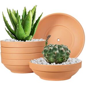 Laerjin Laergin 6.43 Inch Shallow Terra Cotta Clay Pots with Drain Hole Ceramic Plant Pots for Indoor/Outdoor Plants (6 Pack) Laerjin Laergin 6.43 Inch Shallow Terra Cotta Clay Pots with Drain Hole Ceramic Plant Pots for Indoor/Outdoor Plants (6 Pack)