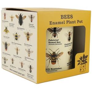 Gift Republic Bee Enamel Plant Pol, Metal, Cream, One Size Gift Republic Bee Enamel Plant Pol, Metal, Cream, One Size