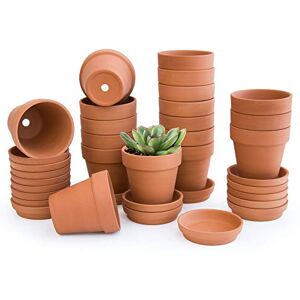 D'vine Dev Pack of 18 Terracotta Pots with Saucers, 3 Inches Terra Cotta Pots with Tray, Clay Pots for Plants & Succulents, Terracotta, 588-51-1 D'vine Dev Pack of 18 Terracotta Pots with Saucers, 3 Inches Terra Cotta Pots with Tray, Clay Pots for Plants & Succulents, Terracotta, 588-51-1