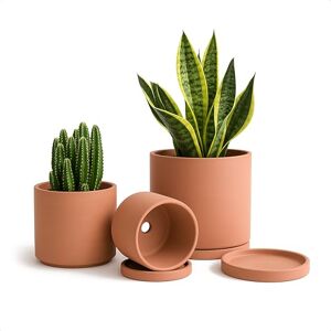 D'vine Dev Terracotta Pots for Plants, 4.2 Inch 5.3 Inch 6.5 Inch, Succulent Planter Pot with Drainage and Saucer, 40-A-T-1 D'vine Dev Terracotta Pots for Plants, 4.2 Inch 5.3 Inch 6.5 Inch, Succulent Planter Pot with Drainage and Saucer, 40-A-T-1