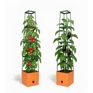 Bio Green Maxitom 4.9ft Trellis for Climbing Plants Plant Support for Climbing Plants, Vines, Vegetables, Tomatoes Garden Trellis Planter Box with Trellis 2 Pack Plant Towers Terracotta Bio Green Maxitom 4.9ft Trellis for Climbing Plants Plant Support for Climbing Plants, Vines, Vegetables, Tomatoes Garden Trellis Planter Box with Trellis 2 Pack Plant Towers Terracotta