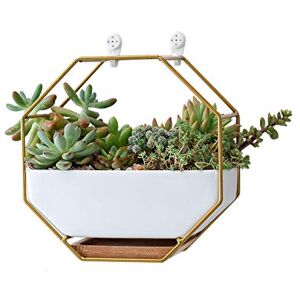 VanEnjoy 7" White Ceramic Wall Planters Vase and Copper,Drainage Hole with Bamboo Tray Succulent Pot Air Plants Mini Cactus Artificial Flowers Hanging Geometric Hexagon Wall Decor (Gold Metal) VanEnjoy 7" White Ceramic Wall Planters Vase and Copper,Drainage Hole with Bamboo Tray Succulent Pot Air Plants Mini Cactus Artificial Flowers Hanging Geometric Hexagon Wall Decor (Gold Metal)