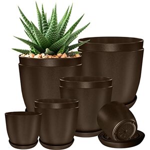 Utopia Home Plastic Planters Brown, Flower Nursery Pots Indoor Modern Decorative Plastic Pots for Plants, Succulents, Flowers, and Cactus 10 Pack, Multisize Utopia Home Plastic Planters Brown, Flower Nursery Pots Indoor Modern Decorative Plastic Pots for Plants, Succulents, Flowers, and Cactus 10 Pack, Multisize