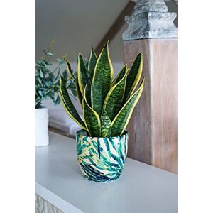 Ivyline Indoor Ceramic Monza Plant Pot Botanical Fern Green Planter 17cm Ivyline Indoor Ceramic Monza Plant Pot Botanical Fern Green Planter 17cm