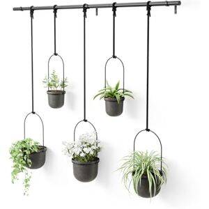 Umbra TRIFLORA HANGING PLANTER SET OF 5 BLACK Umbra TRIFLORA HANGING PLANTER SET OF 5 BLACK