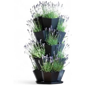 Nicoman 5-Tier Stackable Vertical Garden Planter, Black Hexagonal Plant Tower with Drainage System, Multi-layer Pot for Herb, Flower, Tomatoes, Vegetable Bedding, Indoor Outdoor Vertical Garden Tower Nicoman 5-Tier Stackable Vertical Garden Planter, Black Hexagonal Plant Tower with Drainage System, Multi-layer Pot for Herb, Flower, Tomatoes, Vegetable Bedding, Indoor Outdoor Vertical Garden Tower