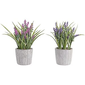 DKD Home Decor Decorative plant, Estándar DKD Home Decor Decorative plant, Estándar
