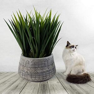 Leaf Extra Large Cachepot Planters Leaf Extra Large Cachepot Planters